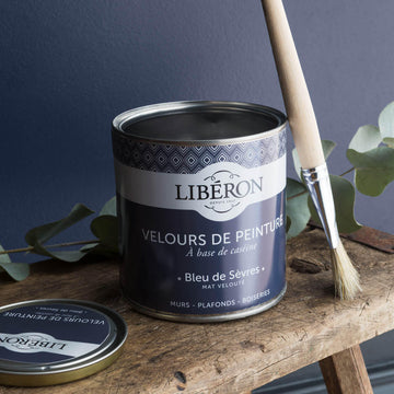 Velours de peinture ®