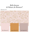 Peinture Murs - Velours de Peinture - JAUNE CALISSON