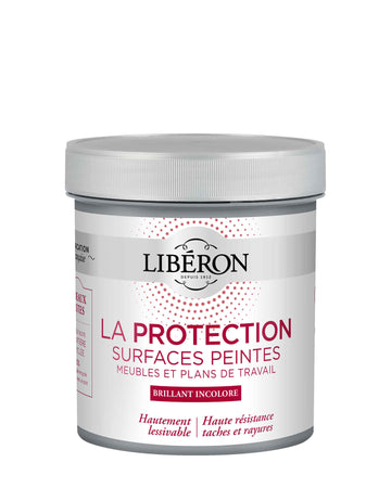La Protection Surfaces Peintes - Brillant