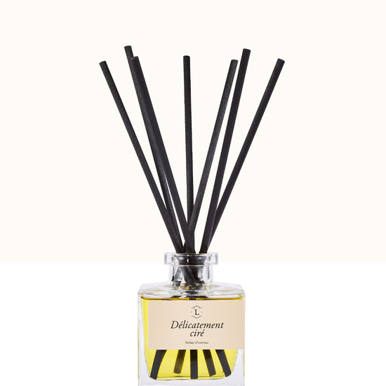 Diffuseur de parfum d’intérieur Libéron, flacon en verre avec tiges noires, senteur Délicatement cirée.