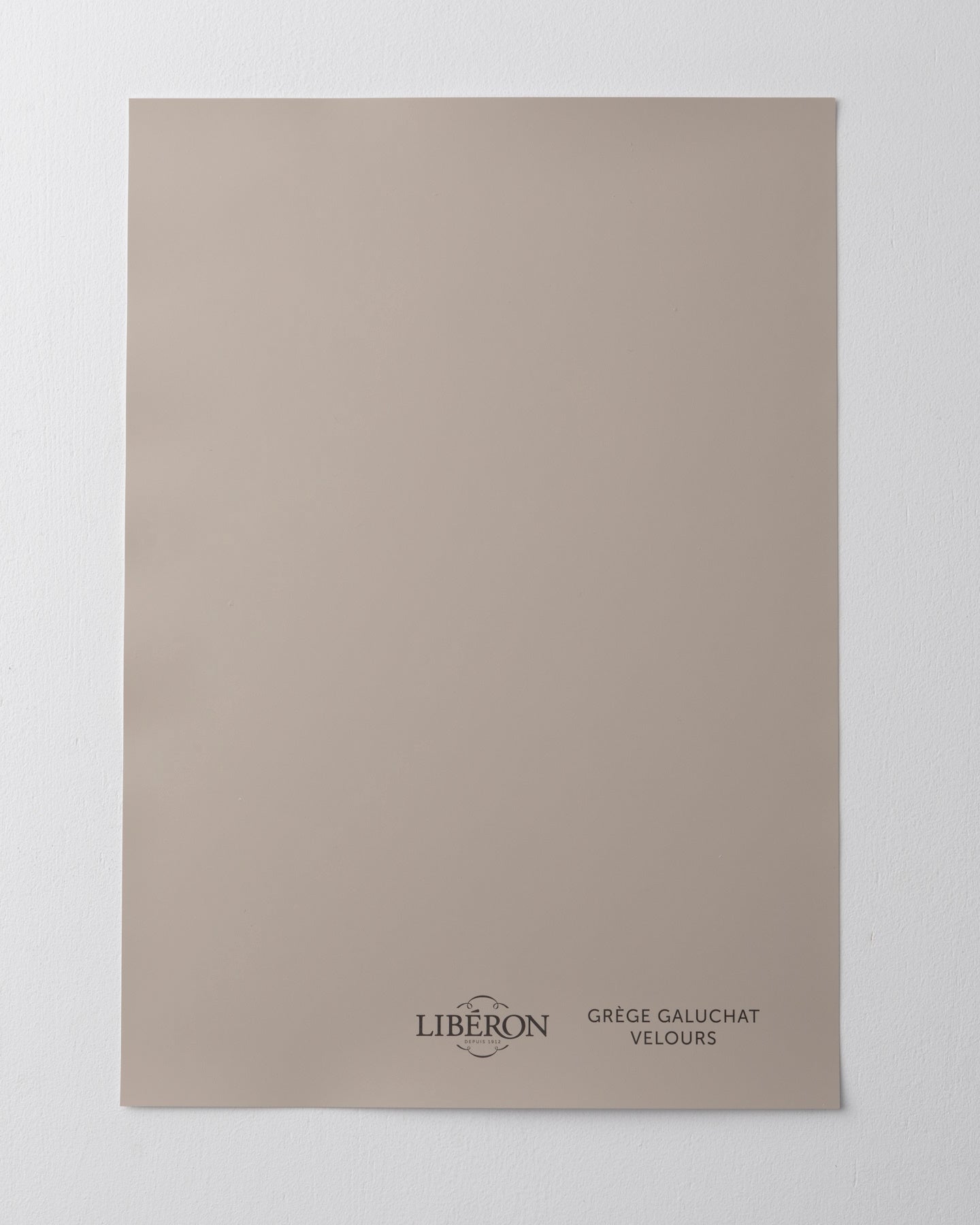 Échantillon de peinture 163 Faubourg Libéron, teinte Grège Galuchat