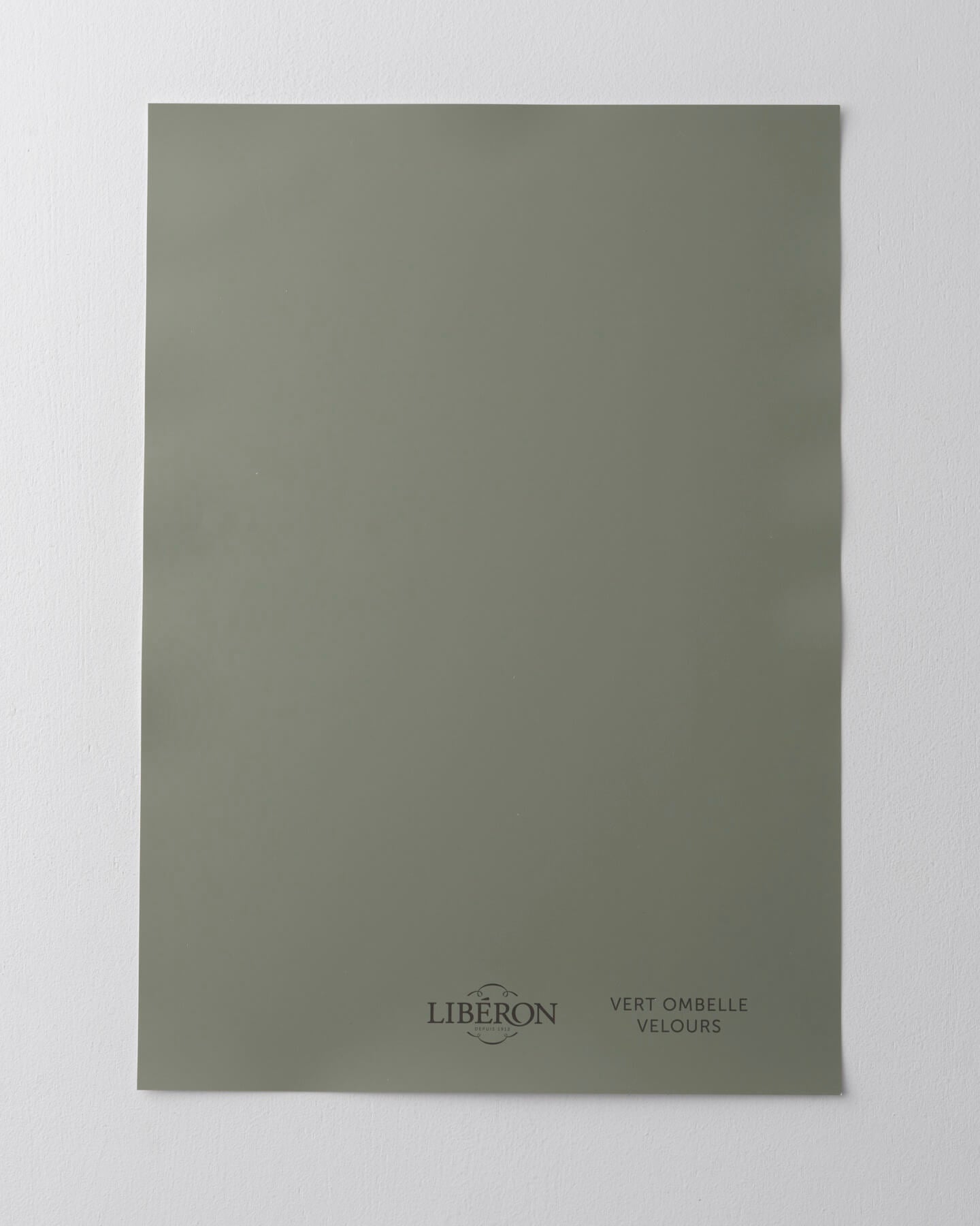 Échantillon de peinture 163 Faubourg Libéron, teinte Vert Ombelle