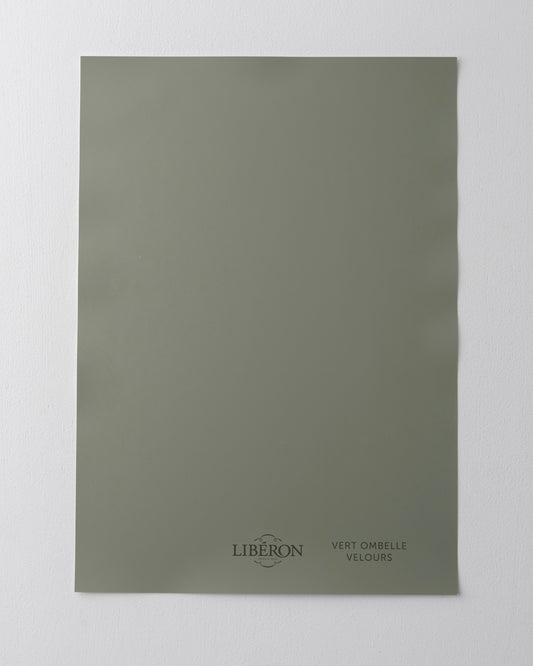 Échantillon de peinture 163 Faubourg Libéron, teinte Vert Ombelle