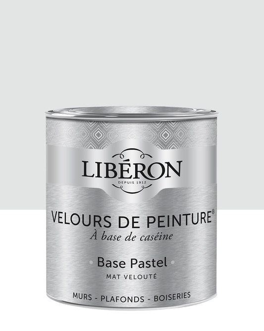 Peinture Murs - Velours de Peinture - BLANC CAMELIA