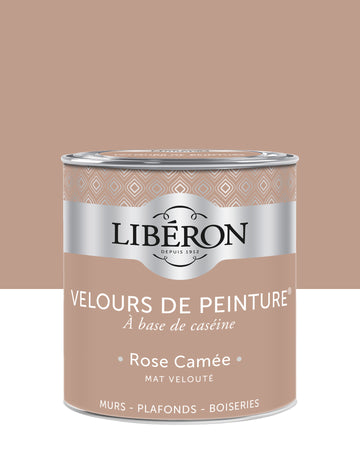 Peinture Murs - Velours de Peinture - ROSE CAMEE