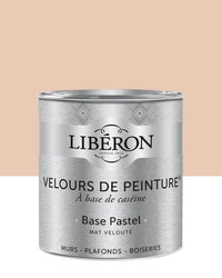 Peinture Murs - Velours de Peinture - ROSE POMPONETTE