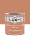 Pot de peinture murs Libéron Velours de Peinture, teinte Terre Cuite d'Anjou, finition mate veloutée.