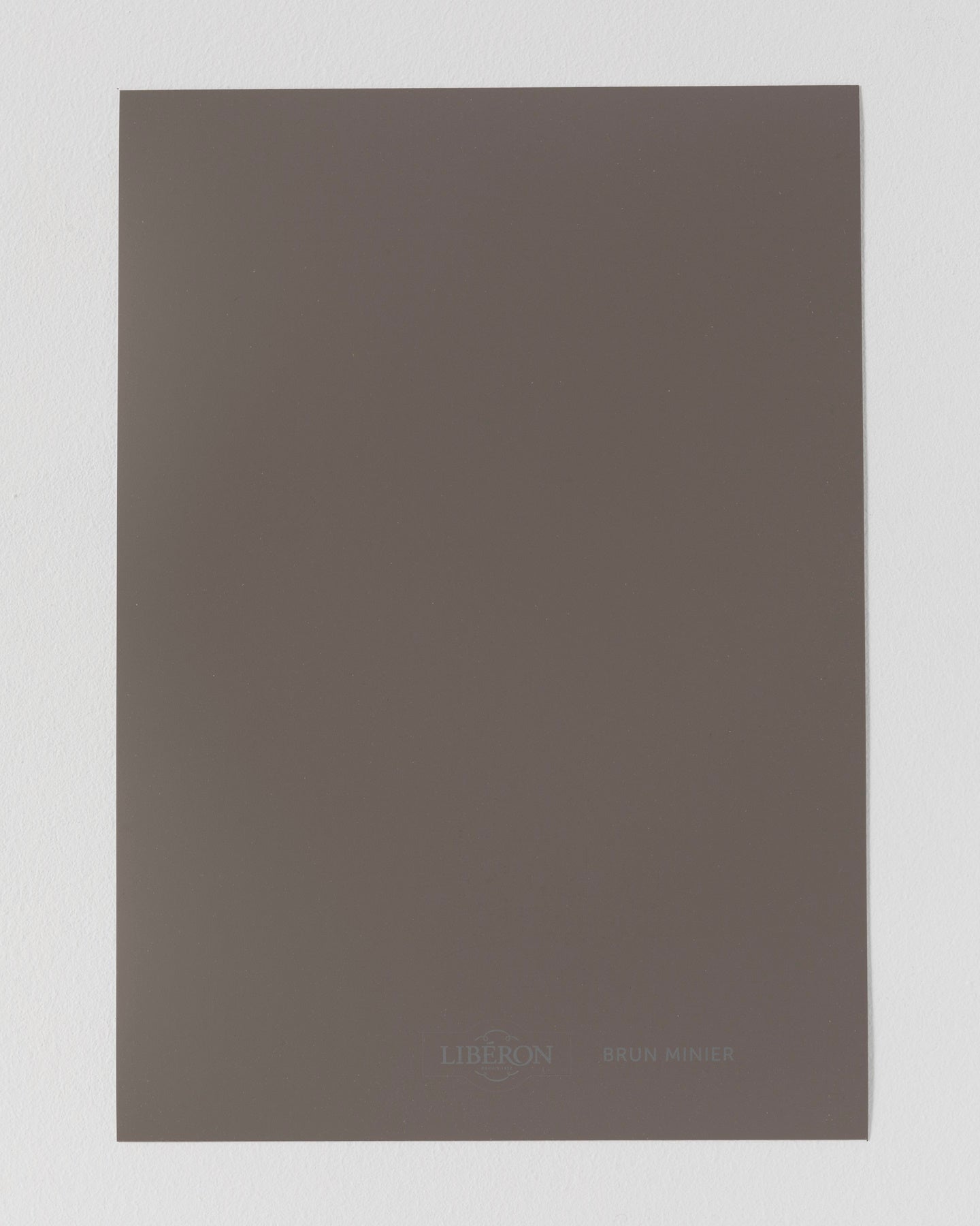 Échantillon de peinture Velours de Peinture Libéron, teinte Brun Minier