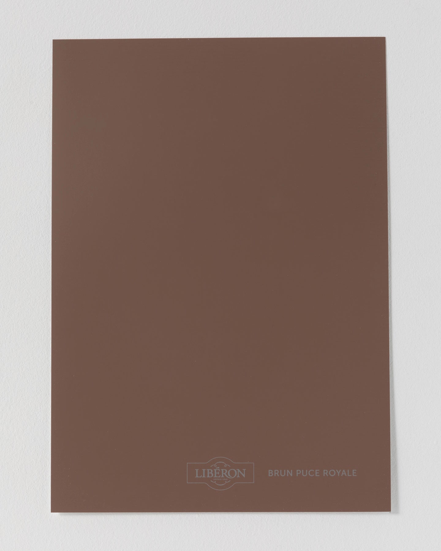 Échantillon de peinture Velours de Peinture Libéron, teinte Brun Puce Royale