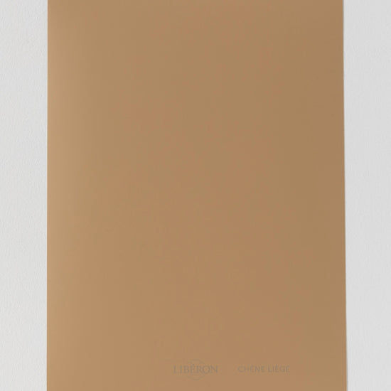 Échantillon de peinture Velours de Peinture Libéron, teinte Chêne Liège
