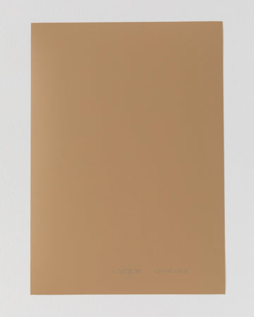 Échantillon de peinture Velours de Peinture Libéron, teinte Chêne Liège
