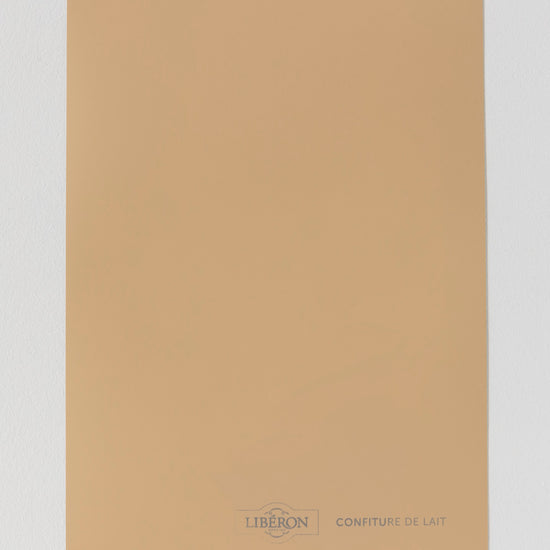 Packshot - 123981