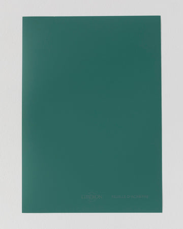 Échantillon de peinture Velours de Peinture Libéron, teinte Feuille d'Acanthe