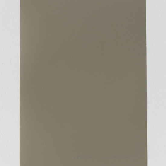 Échantillon de peinture Velours de Peinture Libéron, teinte Gris Gavroche