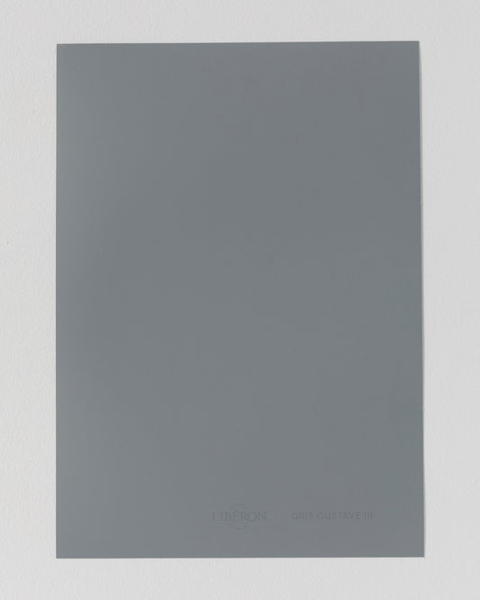Échantillon de peinture Velours de Peinture Libéron, teinte Gris Gustavien