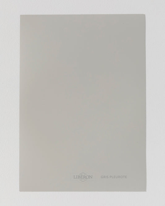 Échantillon de peinture Velours de Peinture Libéron, teinte Gris Pleurote