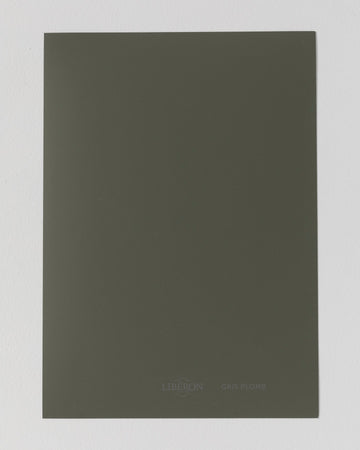 Échantillon de peinture Velours de Peinture Libéron, teinte Gris Plomb