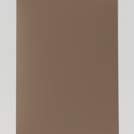 Échantillon de peinture Velours de Peinture Libéron, teinte Gris Souris