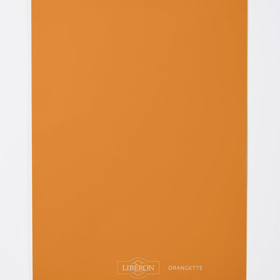 Échantillon de peinture Velours de Peinture Libéron, teinte Orangette