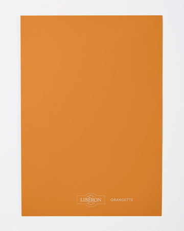 Échantillon de peinture Velours de Peinture Libéron, teinte Orangette