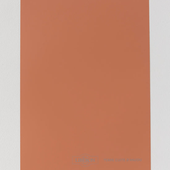Échantillon de peinture Velours de Peinture Libéron, teinte Terre Cuite d'Anjou