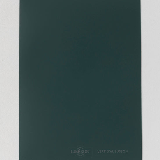 Échantillon de peinture Velours de Peinture Libéron, teinte Vert Aubusson