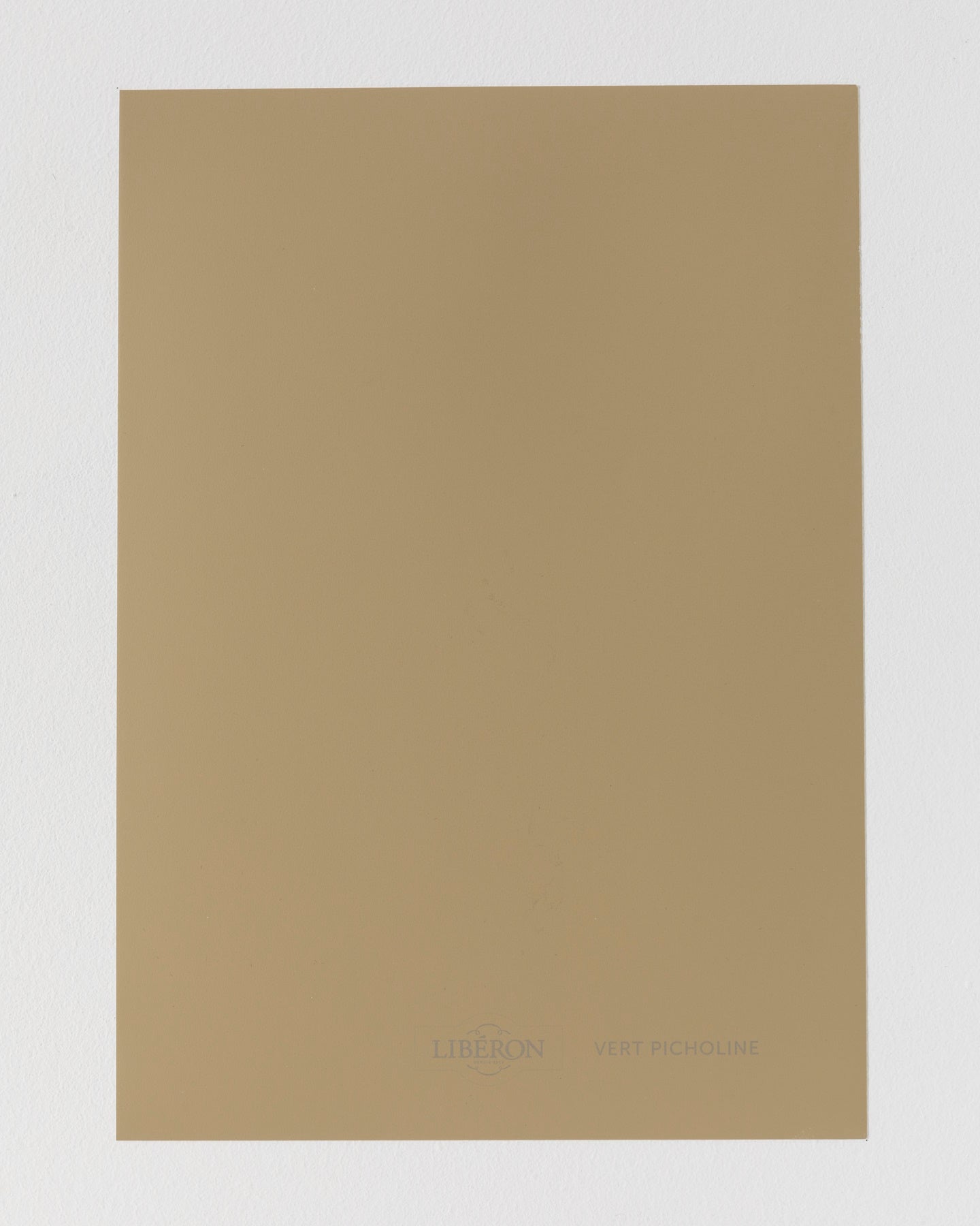 Échantillon de peinture Velours de Peinture Libéron, teinte Vert Picholine