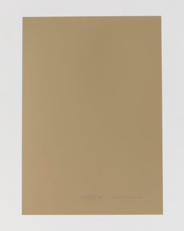 Échantillon de peinture Velours de Peinture Libéron, teinte Vert Picholine