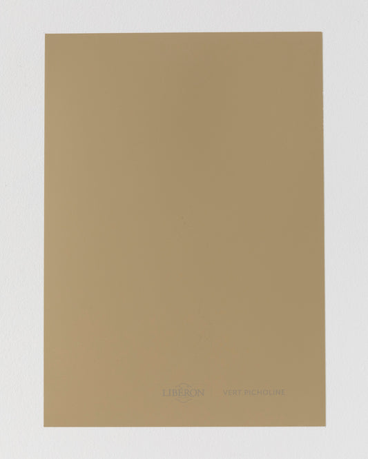 Échantillon de peinture Velours de Peinture Libéron, teinte Vert Picholine