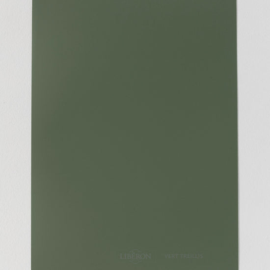 Échantillon de peinture Velours de Peinture Libéron, teinte Vert Treillis