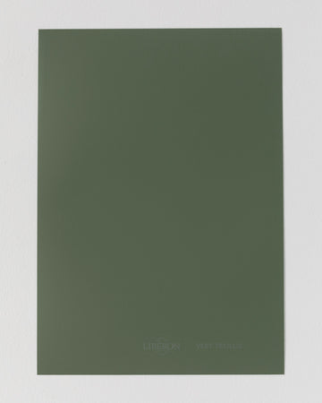 Échantillon de peinture Velours de Peinture Libéron, teinte Vert Treillis