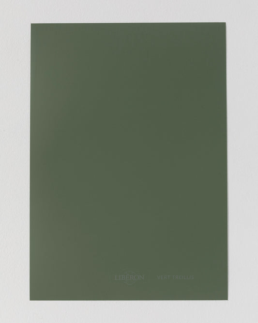 Échantillon de peinture Velours de Peinture Libéron, teinte Vert Treillis