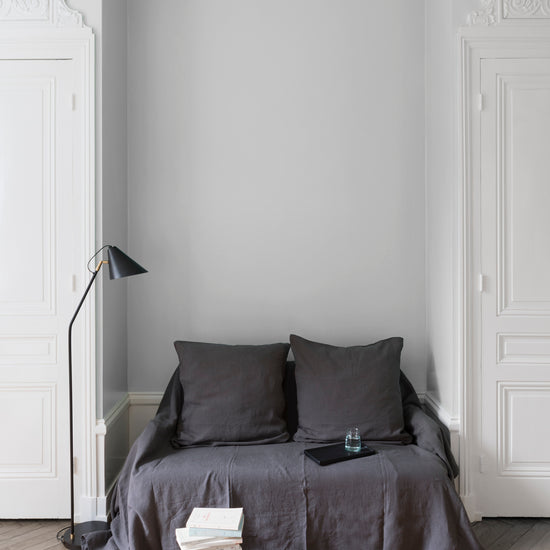 Ambiance - peinture-murs-velours-de-peinture-blanc-cristallin