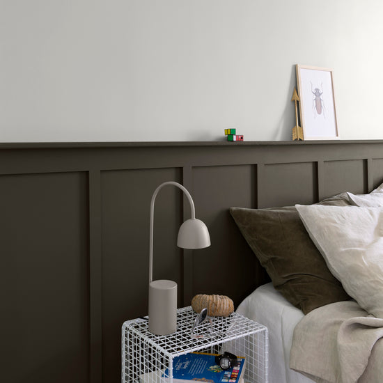 Ambiance - peinture-murs-velours-de-peinture-brun-caviar