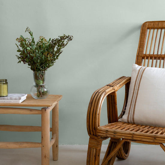 Ambiance - peinture-murs-velours-de-peinture-celadon