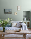 Peinture Murs - Velours de Peinture - CELADON