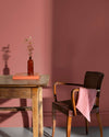 Echantillon - Peinture Murs - Velours de Peinture - PRALINE ROSE
