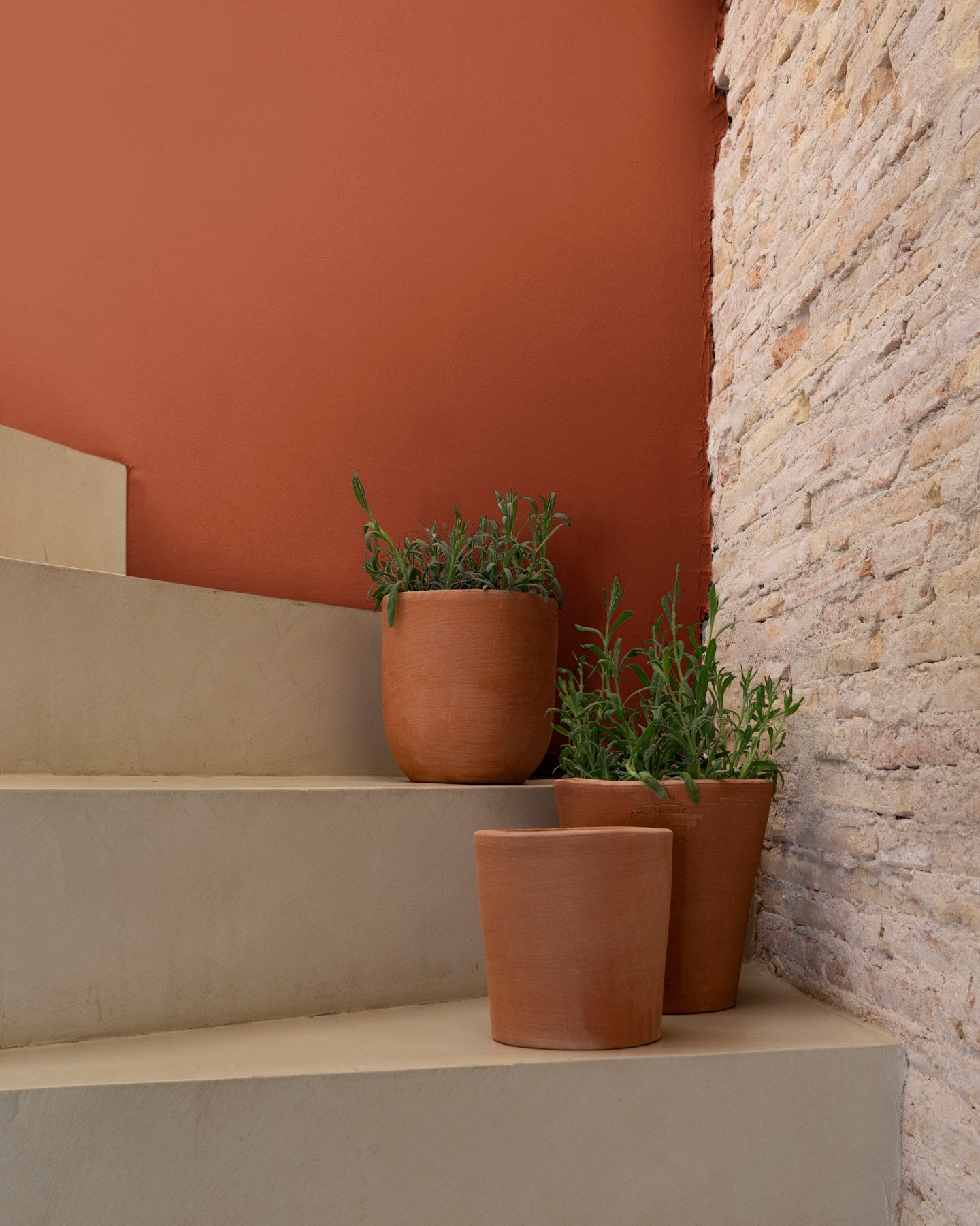 Escalier aux murs roux goupil, Velours de Peinture Libéron, avec pots en terre cuite et mur en pierre.