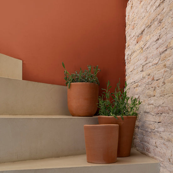 Escalier aux murs roux goupil Libéron, avec pots en terre cuite, plantes vertes et mur en brique apparente.