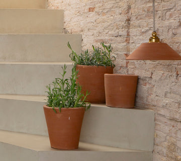 Terre Cuite d’Anjou