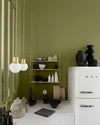 Cuisine aux murs vert herbarium, Velours de Peinture Libéron, avec étagère dorée, réfrigérateur blanc et suspensions.