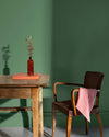 Echantillon - Peinture Murs - Velours de Peinture - VERT POTAGER