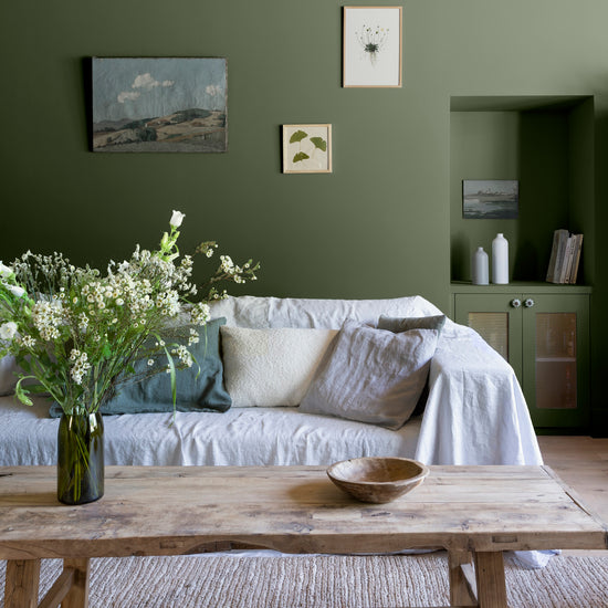 Ambiance - peinture-murs-velours-de-peinture-vert-treillis