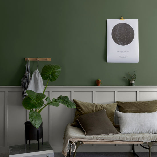 Salon aux murs vert treillis et gris sarrazin Libéron, avec banquette basse, plante verte et soubassement gris.