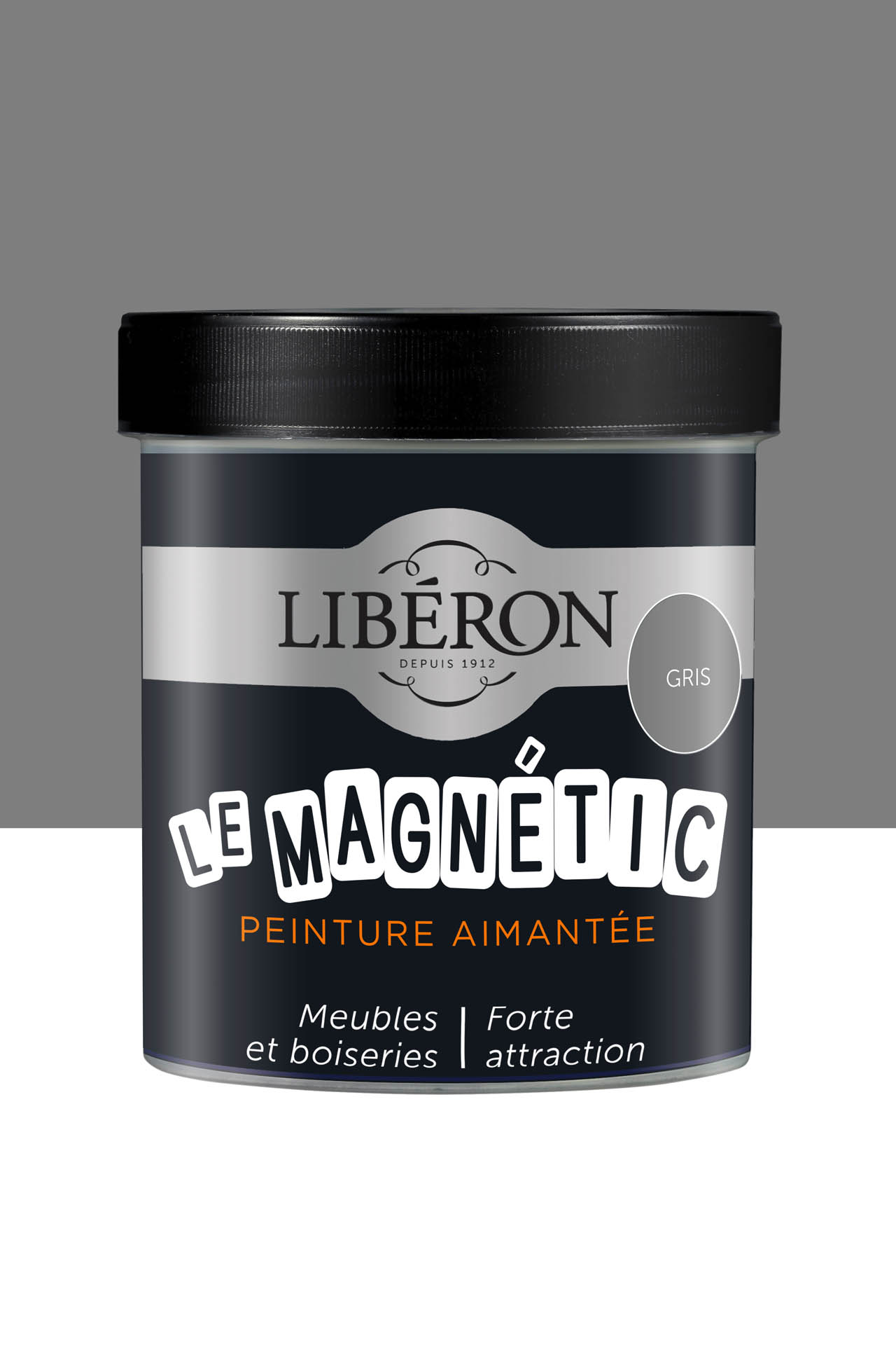 PEINTURE MAGNETIQUE A AIMANT - 500 ml