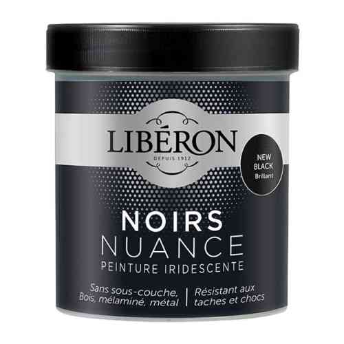 LA PEINTURE NOIRS NUANCE