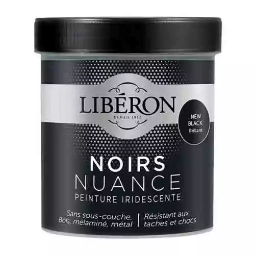 LA PEINTURE NOIRS NUANCE