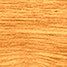 Noyer blond