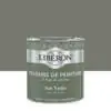 Peinture-Velours-0,5L-Vert-treillis