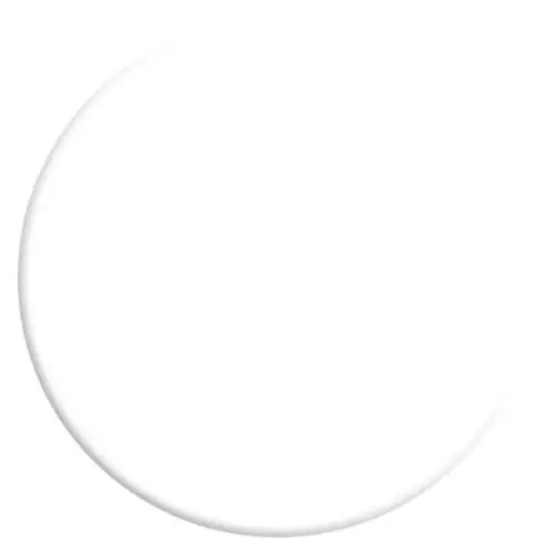 VELOURS DE PEINTURE ® - Couleur Blanc Porcelaine